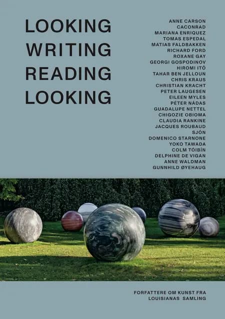 Looking Writing Reading Looking af Peter Laugesen