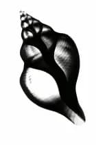 Mens jeg sover, glemmer jeg dig af Anne-Louise Bosmans