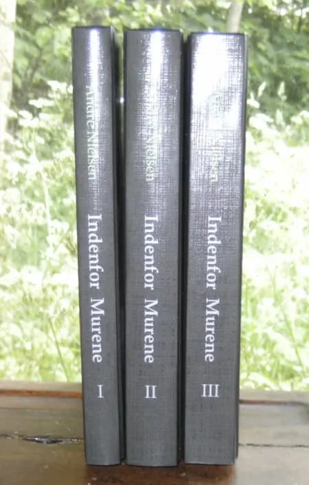 Indenfor Murene af André Nielsen