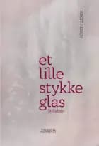 Et lille stykke glas
