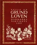 Bogen om grundloven af Stine Godsk Skyum