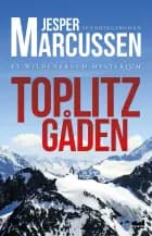 Toplitzgåden af Jesper Marcussen