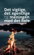 Det vigtige, det egentlige og meningen med det hele af Lene Rachel Andersen