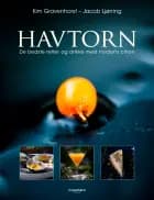 Havtorn 3 af Kim Gravenhorst