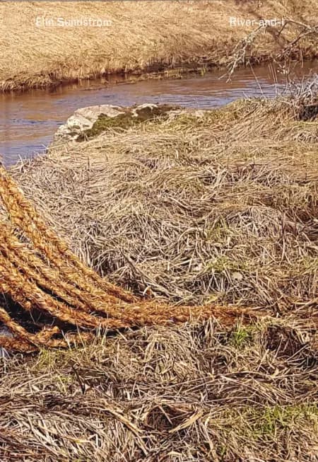 River-and-I: A multispecies story of loss and love on the brink af Elin Sundström