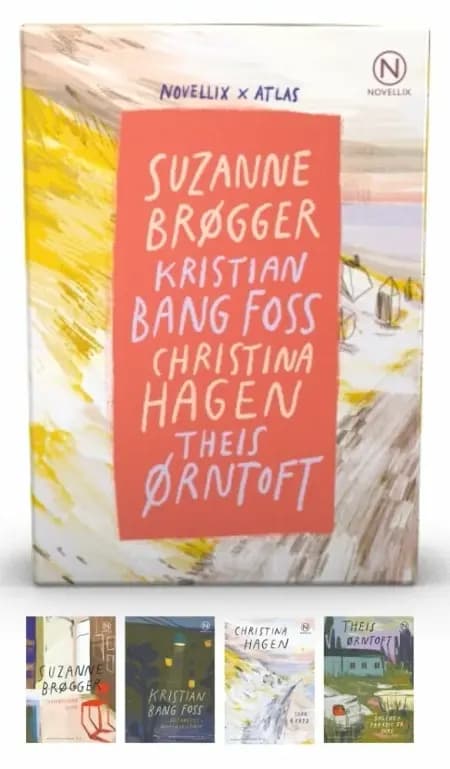 Gaveæske med fire essays af Brøgger, Bang Foss, Hagen & Ørntoft af Suzanne Brøgger