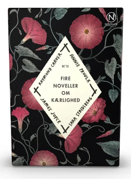 Gaveæske med fire noveller om kærlighed II af James Joyce