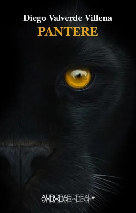 Pantere af Diego Valverde VIllena