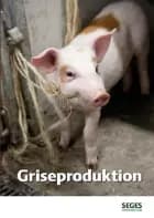 Griseproduktion af Maria Eskildsen og Andreas Vest Weber