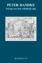 Forsøg over den vellykkede dag af Peter Handke