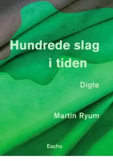 Hundrede slag i tiden af Martin Ryum