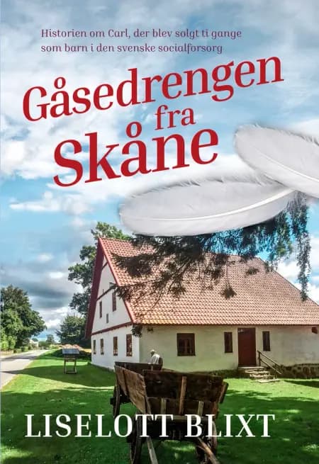 Gåsedrengen fra Skåne af Liselott Blixt