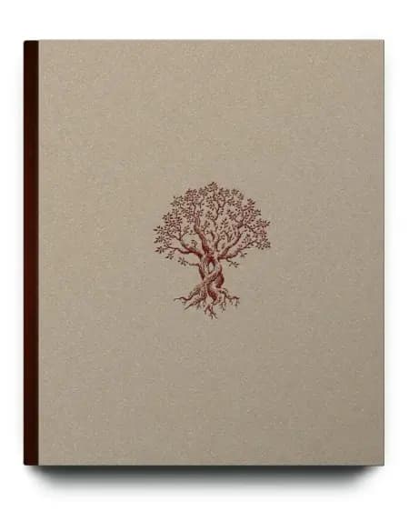 Gennem Øjetræet af Mathias Svold