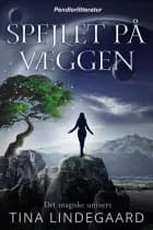 Spejlet på væggen af Tina Lindegaard