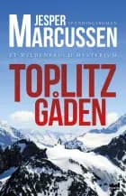 Toplitzgåden af Jesper Marcussen