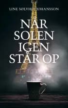 Når solen igen står op af Line Sølvhøj Johansson
