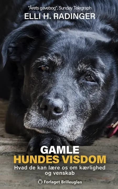 Gamle hundes visdom af Elli H. Radinger