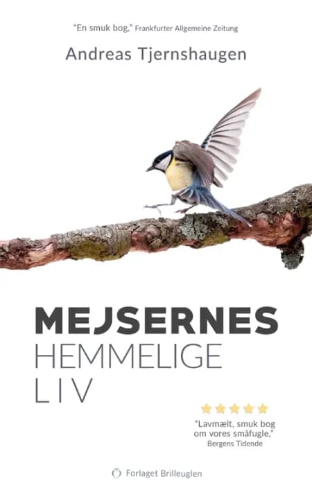 Mejsernes hemmelige liv af Andreas Tjernshaugen