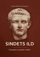 Sindets Ild af Christina Videbech og Poul Videbech