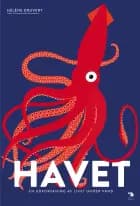 Havet af Hélène Druvert og Emmanuelle Grundmann