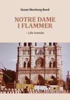 Notre Dame i flammer af Susan Skovborg Roed