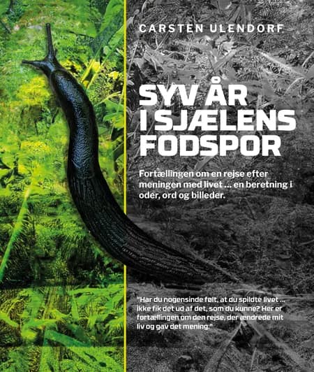 Syv år i sjælens fodspor af Carsten Ulendorf