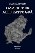 I mørket er alle katte grå af Mathias Steen