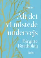 Alt det vi mistede undervejs af Birgitte Bartholdy