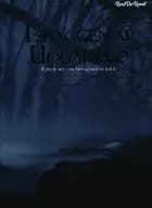 I skyggen af Udgårdsø af C. C. Thybro