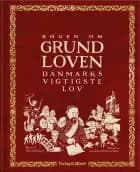 Bogen om grundloven af Stine Godsk Skyum