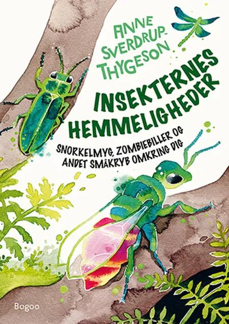 Insekternes hemmeligheder af Anne Sverdrup-Thygeson