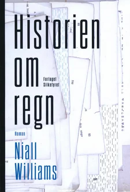Historien om regn af Niall Williams