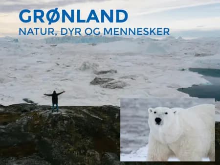 GRØNLAND af Hanne Guldberg Mikkelsen