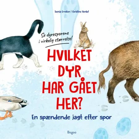 Hvilket dyr har gået her? Se dyresporene i virkelig størrelse! af Svenja Ernsten