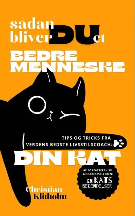 Sådan bliver DU et bedre menneske af Christian Klitholm