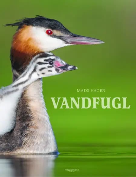 Vandfugl af Mads Hagen