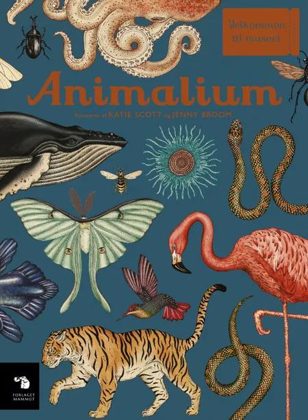 Animalium af Katie Scott