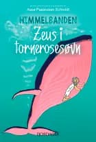 Zeus i tornerosesøvn af Aase Paaskesen Schmidt