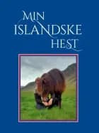 Min islandske hest af Lise Hvarregaard