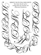 Hjertet er en fold med heste af Anna Rieder og Sidsel Ana Welden