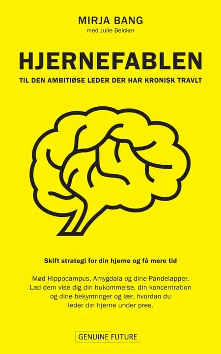 Hjernefablen af Mirja Bang