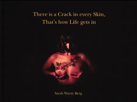 There is a Crack in ever Skin, That's how Life gets in af Sarah Warny Berg