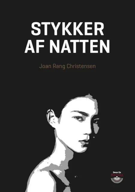 Stykker af natten af Joan Rang Christensen