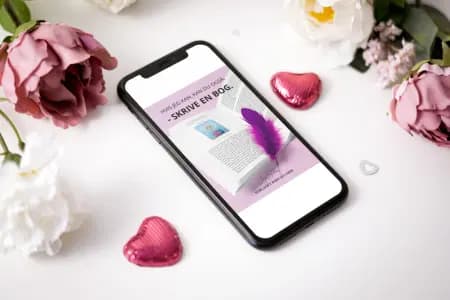 Hvis jeg kan, kan du også: - skrive en bog. af Joy Scheef