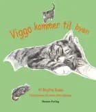 Viggo kommer til byen af Birgitte Bruun / Lærke Akita Dalmose