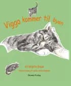 Viggo kommer til byen af Birgitte Bruun