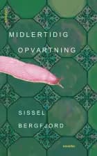Midlertidig opvartning af Sissel Bergfjord