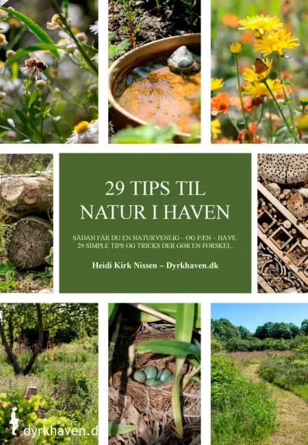 Tips til mere natur i haven af Heidi Kirk Nissen