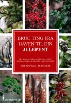 Brug ting fra haven til din julepynt af Heidi Kirk Nissen