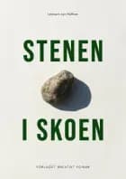 STENEN I SKOEN af Lennart von Haffner